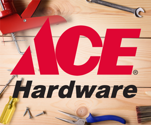 Case Study Ace Hardware SMS Marketing